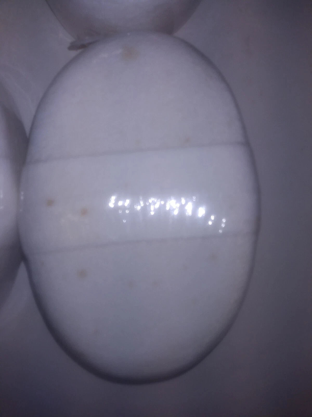 (4) Natural Loofah  Pad Body Sponges Skin  Scrubbers with BROWN SPOTS other USES