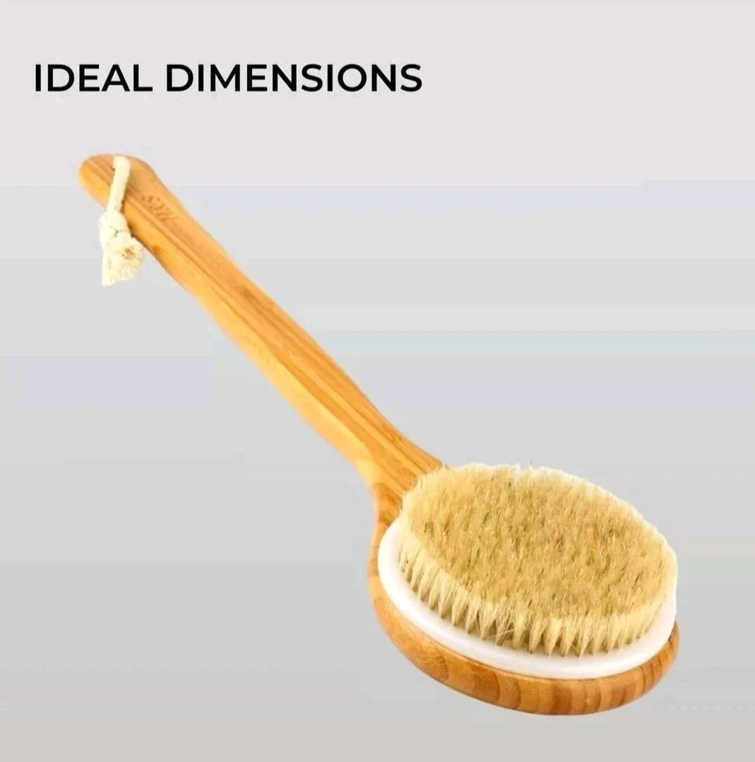 Body Brush Back Scrubber - Long Handle Bath Shower Brush Natural Bristles - H&S