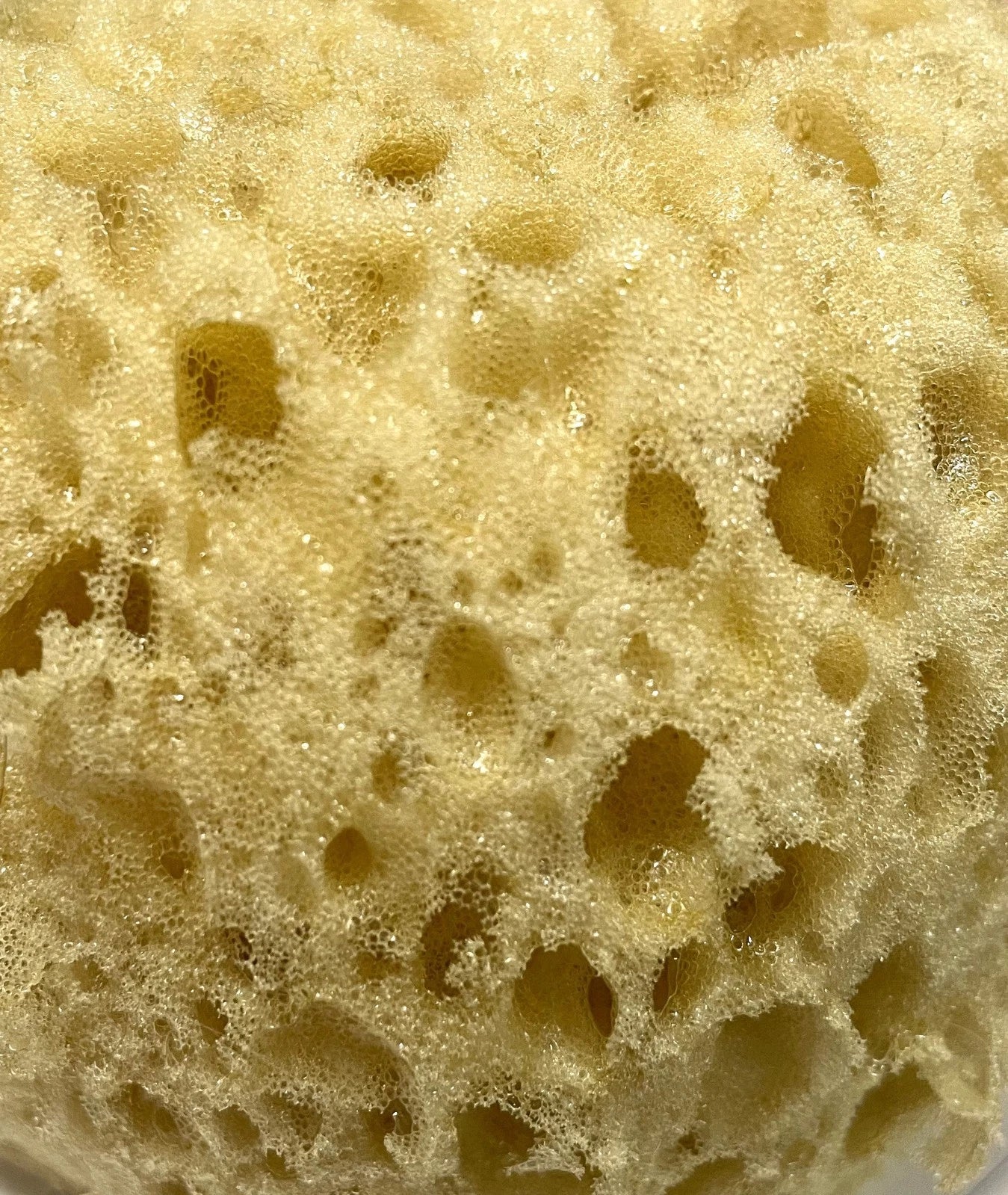 Natural Greek Sea Sponges, Medium Size: 10 x 7 cm,  S1