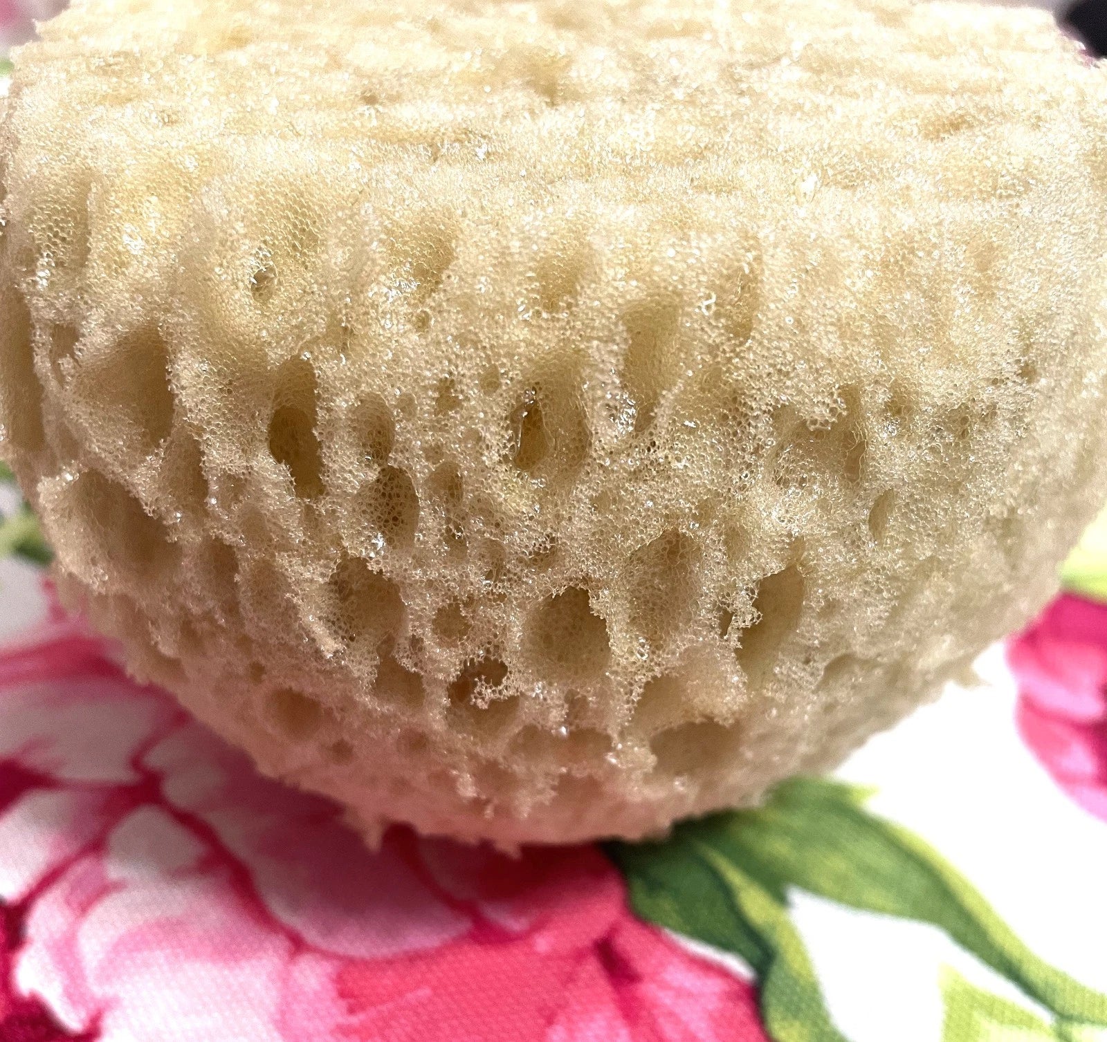 Natural Greek Sea Sponges, Medium Size: 10 x 7 cm,  S1