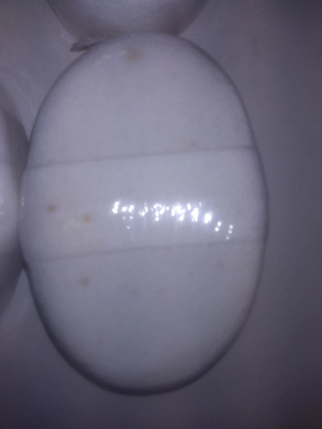 (4) Natural Loofah  Pad Body Sponges Skin  Scrubbers with BROWN SPOTS other USES