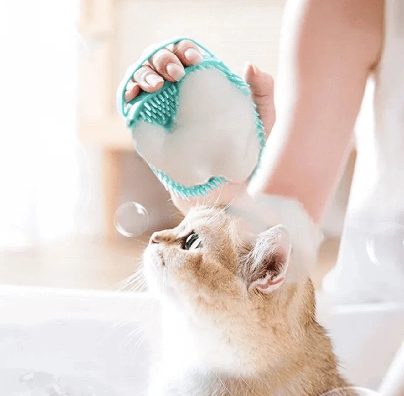 Pet Dog Cat Massage Bath Brush Scrubber Shampoo Dispenser Shower Soft Silicone