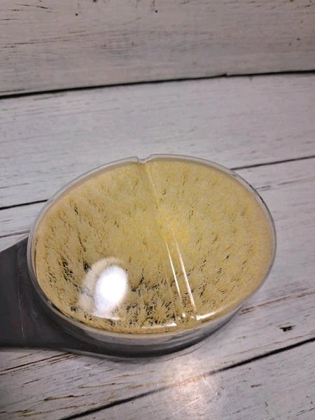 Body Brush Back Scrubber, 17" Back Brush Long Handle for Shower New Open Box