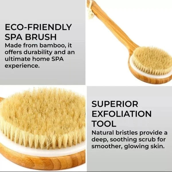 Body Brush Back Scrubber - Long Handle Bath Shower Brush Natural Bristles - H&S