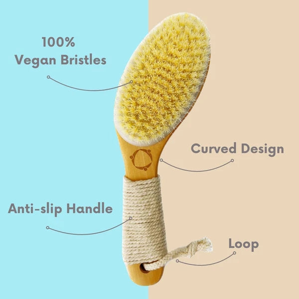 3-in-1  Dry Brush with Massage Tools for Lymphatic Drainage & Relaxation